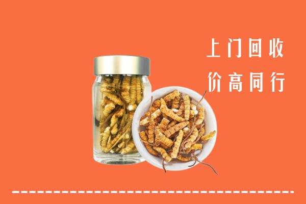 西山区回收冬虫夏草